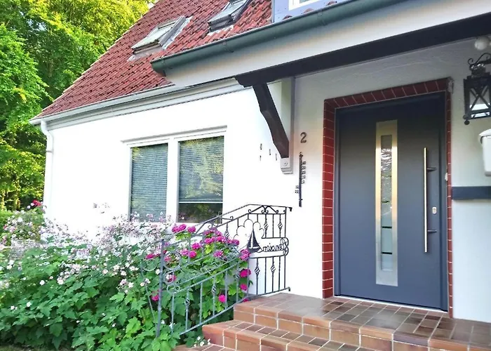 Baumwipfel * Hohwacht